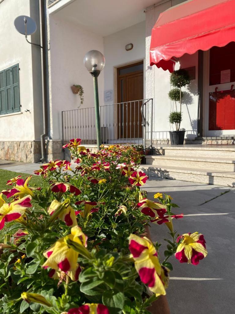 Appartamento L'Edera Santo Stefano di Magra Ngoại thất bức ảnh